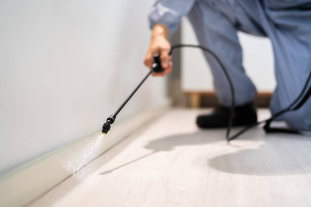 Professional exterminator conducting IPM assessment in Attica